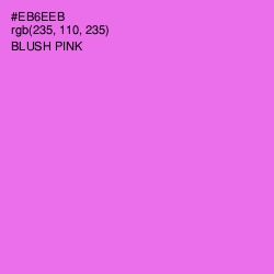#EB6EEB - Blush Pink Color Image